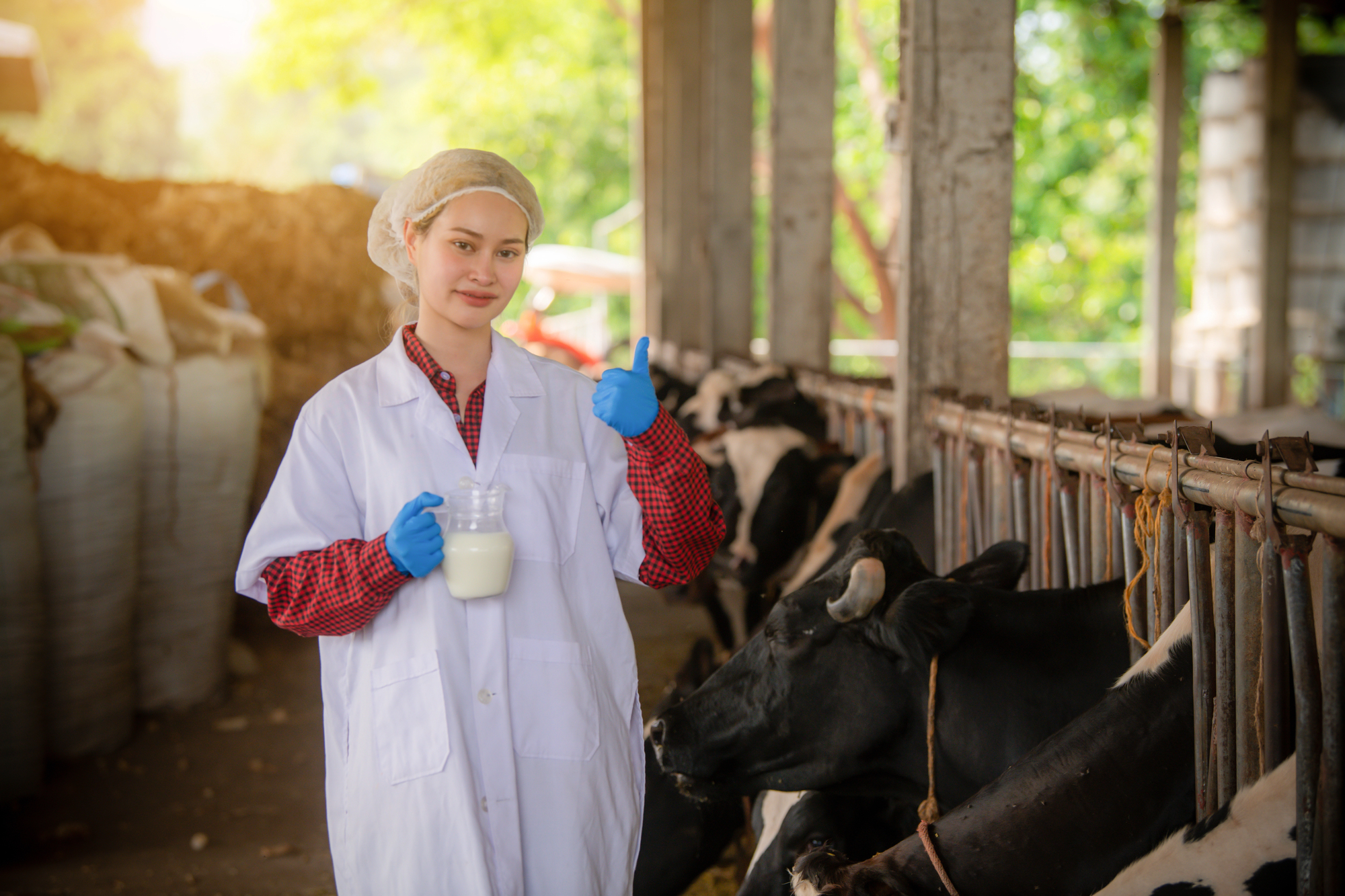 técnica de granja con botellas de leche